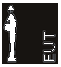 EUT